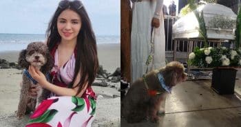 Dog Found Alive in His Mom’s Arms Beneath Colombian Earthquake Rubble