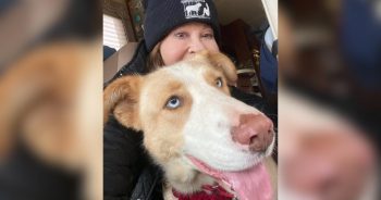 Linda Blair Calls Raid on Her Animal Rescue a ‘Positive’ Experience