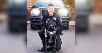 K-9 Rex Sniffs Missing Girl’s Shoes and Finds Her Just 12 Minutes Later