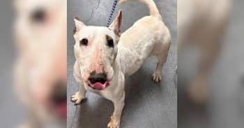 Nipsy Was Fighting for Her Life. Now She’s Living Her Best One