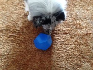 Ask a Dog Trainer – How Do I Choose A Stimulating Toy For My Dog?