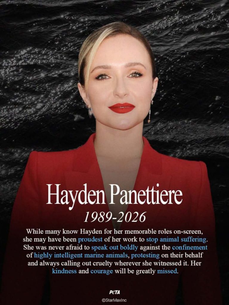 Rest in Peace, Hayden Panettiere