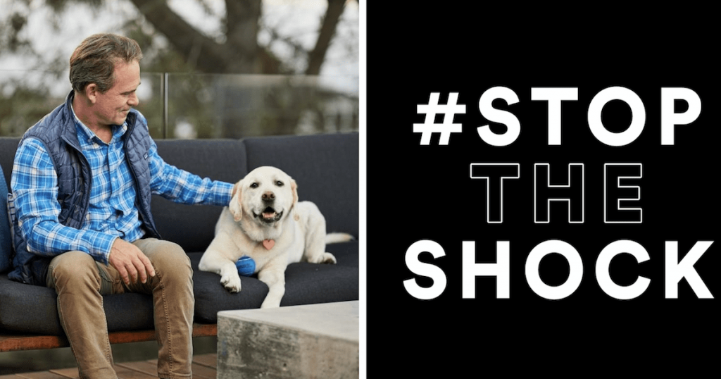 Petco Bans Shock Collars To Encourage Humane Training Methods