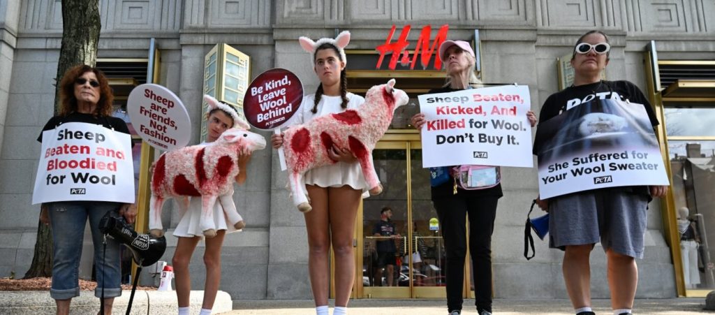 I Was Assaulted at New York Fashion Week for Speaking Up for Sheep