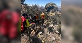 130-Pound Dog Decides He’s Done Hiking, So Deputies Give Him a 4-Mile Lift