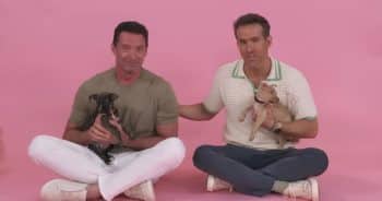 Ryan Reynolds and Hugh Jackman Meet a Pile of Puppies and Chaos Quickly Follows