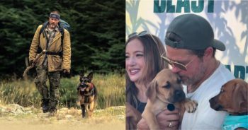 Brad Pitt Reveals His Pack Has Grown and Explains Why Dogs Make Life Better