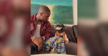 Dog Dad Makes Sure His Pup Is Prepared for Life With Some Very Important Talks