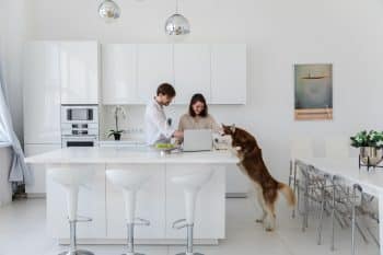 13 Funny Ways Dogs Try To Be Part Of Everything