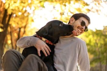 13 Snuggly Dog Breeds That Believe Personal Space Is Overrated