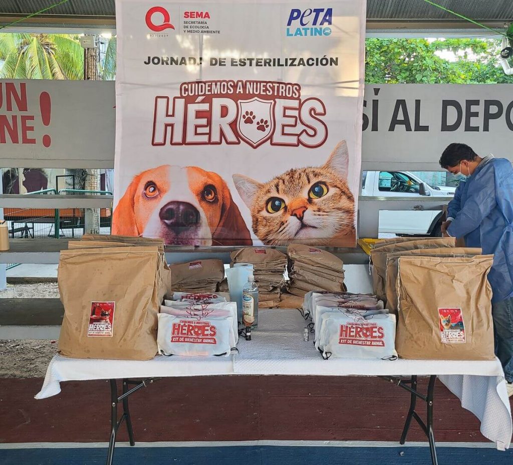 What I Saw at PETA’s 18th Spay/Neuter Clinic in Cancun