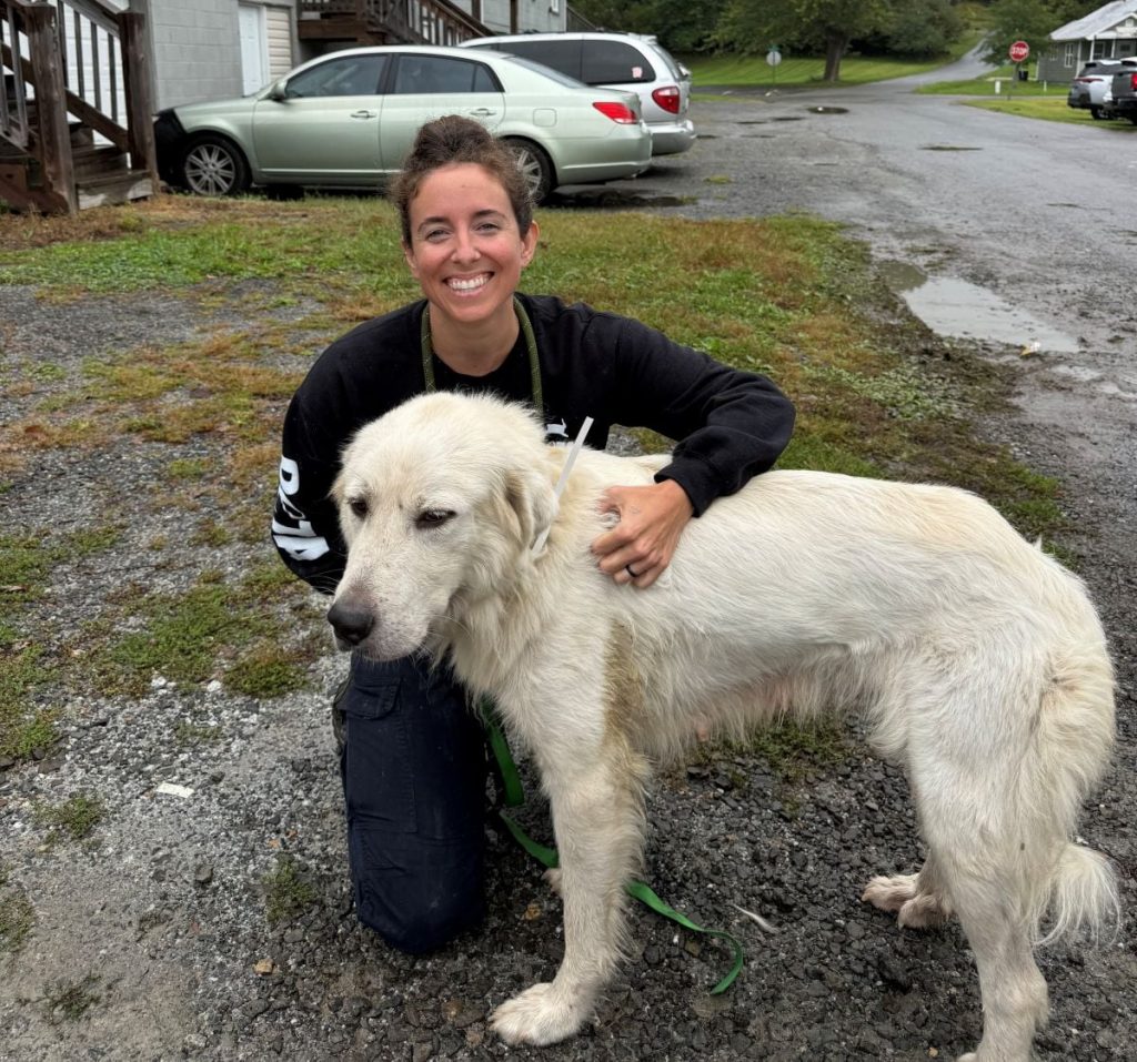 PETA Urgently Seeks Adopters, Fosters for 10 Dogs Rescued From Chains and Pens